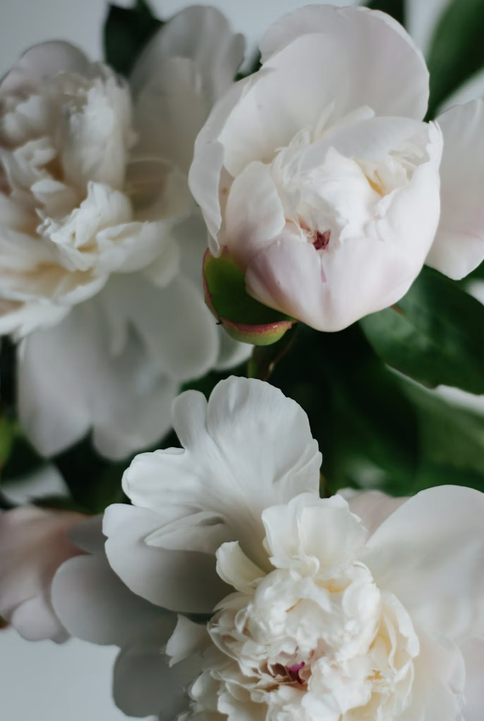 SERVICES screenshot 2025 12 11 at 14.16.42